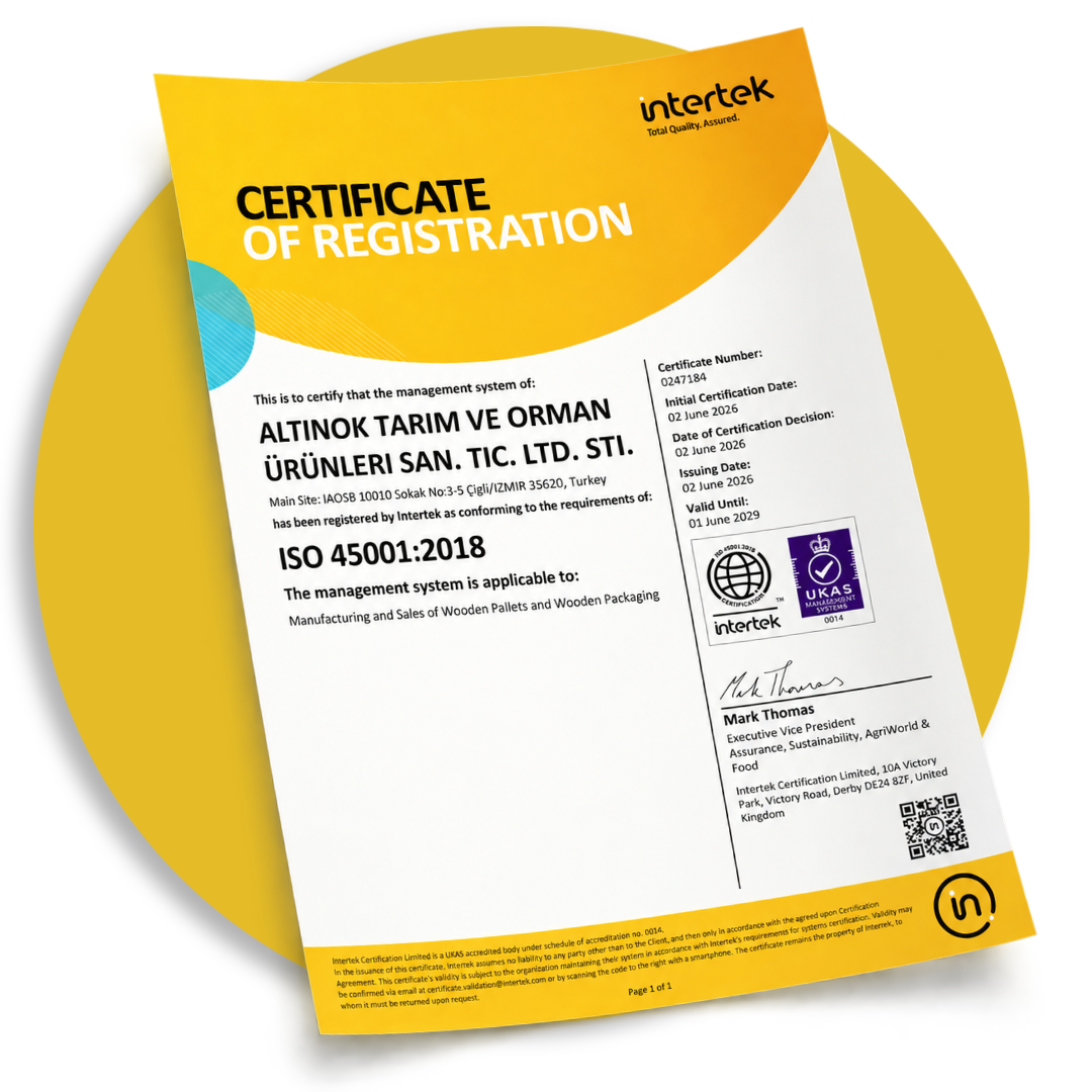 ISO 45001:2018 İş Sağlığı ve Güvenliği Yönetim Sistemi